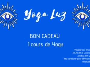 bon cadeau 1 cours de yoga