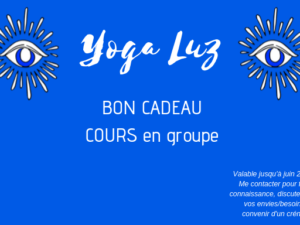 _bon cadeau YL cours groupe