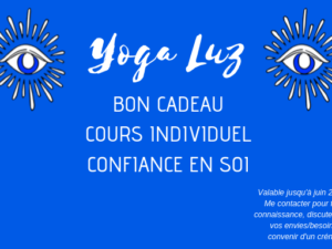 bon cadeau YL cours individuel CONFIANCE