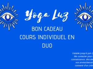 bon cadeau YL cours individuel DUO