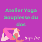 atelier souplesse du dos