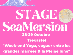 stage plein tarif