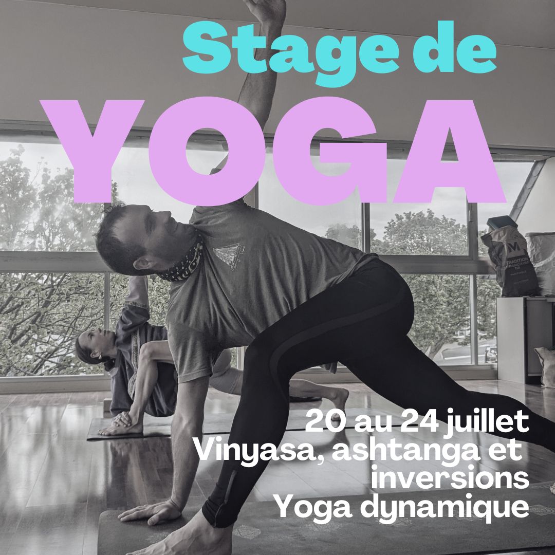 stage de yoga juillet trégastel